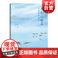 无形的联系大滨鹬的故事 崇明东滩生物多样性科普丛书 陈婷媛著 王紫绘 上海科学技术出版社