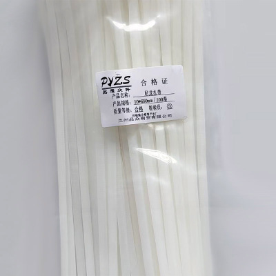 品雁众升 尼龙扎带10*650mm/100根/包