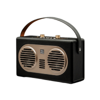 戴阳一体式手拎蓝牙音箱PT-B24(拍前需联系客服)