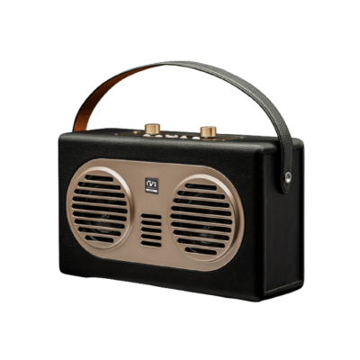 戴阳一体式手拎蓝牙音箱PT-B24(拍前需联系客服)