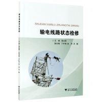 [N]输电线路状态检修-9787308212090