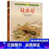 [四年级上]法布尔昆虫记 [正版]昆虫记原著完整版法布尔人民教育出版社 三年级四年级上册课外书必读老师经典小学语文同步阅