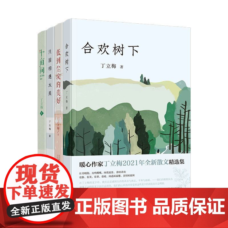 丁立梅散文精选集 套装4册 合欢树下 十亩间 只因相遇太美 低到尘埃的美好 中考语文阅读热点作家 多次入选中考语文试题