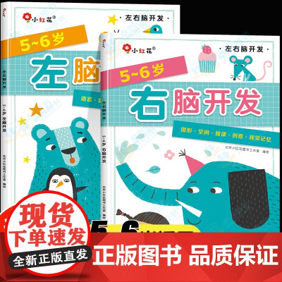 邦臣小红花左右脑开发书5-6岁思维逻辑训练书儿童专注力全脑开发大脑左脑右脑开发书籍智力大开发脑力五六岁大班幼儿益智早教