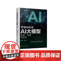 零基础实战AI大模型 原理 构建与优化 Llama开源模型训练调优及行业应用开发指南 大型语言模型开发指南 人工智能专业