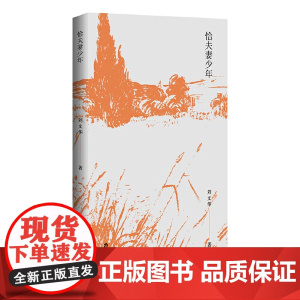 恰夫妻少年