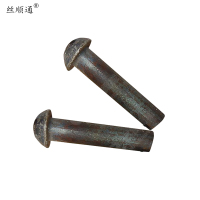 丝顺通 半圆头铆钉 22*95 /个