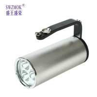 盛王盛荣 手提式防爆探照灯