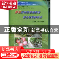 正版 番茄高效益设施栽培综合配套新技术 王永泉,徐进主编 中国