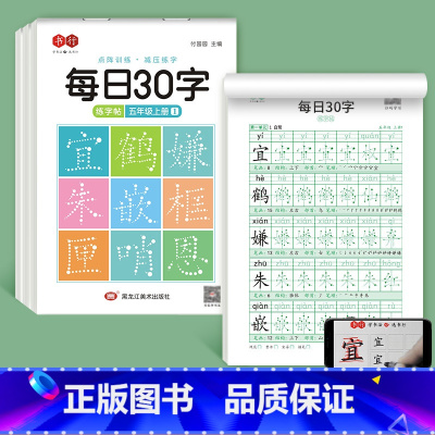 五年级上册3本 [正版]减压同步字帖每日30字一年级字帖上下册语文雷射同步练字帖二三年级人教版小学生每日一练钢笔临摹描红