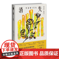 正版 消失 [美] 苔丝·格里森 美剧《妙女神探》系列原著小说,双女主强强联手,惊险刺激,反转不断 午夜文库 推理