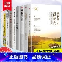 温铁军作品全套9册 [正版]温铁军作品 长读苏南+全球化与国家竞争+去依附+解构现代化+居危思危+告别百年激进+八次