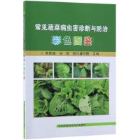 常见蔬菜病虫害诊断与防治彩色图鉴
