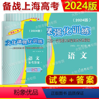 2024高考一模语文试卷+答案 高三通用 [正版]2024年版领先一步 语文 上海高考语文一模卷 试卷 参考答案 文化课