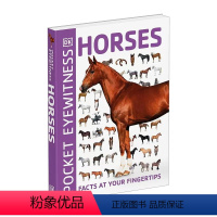 目击者系列 马 [正版]华研原版 目击者系列 古希腊 英文原版 Eyewitness Ancient Greece DK