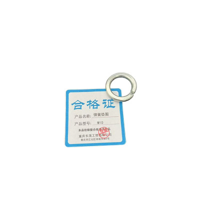 长茂工贸 弹簧垫圈 M10 个