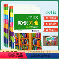 [知识大全3本]语数英-全国通用 小学升初中 [正版]小升初语文数学英语知识大全全国通用人教版小学生一二三四五六年级资料