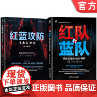 套装 红蓝攻防 技术与策略+红队VS蓝队 网络攻防实战技术解析 套装全2册 漏洞挖掘攻防研究渗透测试 网络攻防实战技