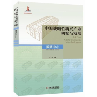 音像中国战略新兴产业研究与发展(数据中心)编者:吕天文