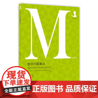 数学问题解决(中小学数学教育论著译丛)
