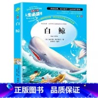 白鲸 [正版]梅尔维尔白鲸书原著小学生青少年三四五六年级必读经典文学名著彩图美绘插画版名师导读带批注读后感吉林大学出版社