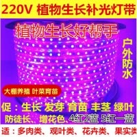 苏宁放心购 220V全光谱led植物生长大棚补光灯带多肉育苗花卉室内植物叶灯条