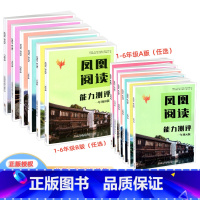 一年级A+B版 共2册 小学通用 [正版]凤凰阅读能力测评 一二三四五六年级AB版 通用版 小学语文123456年级上下