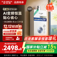 AO史密斯佳尼特16升燃气热水器佳尼特 不锈钢换热器8年包换 恒温大水量 抗风防冻 JSQ31-TC1