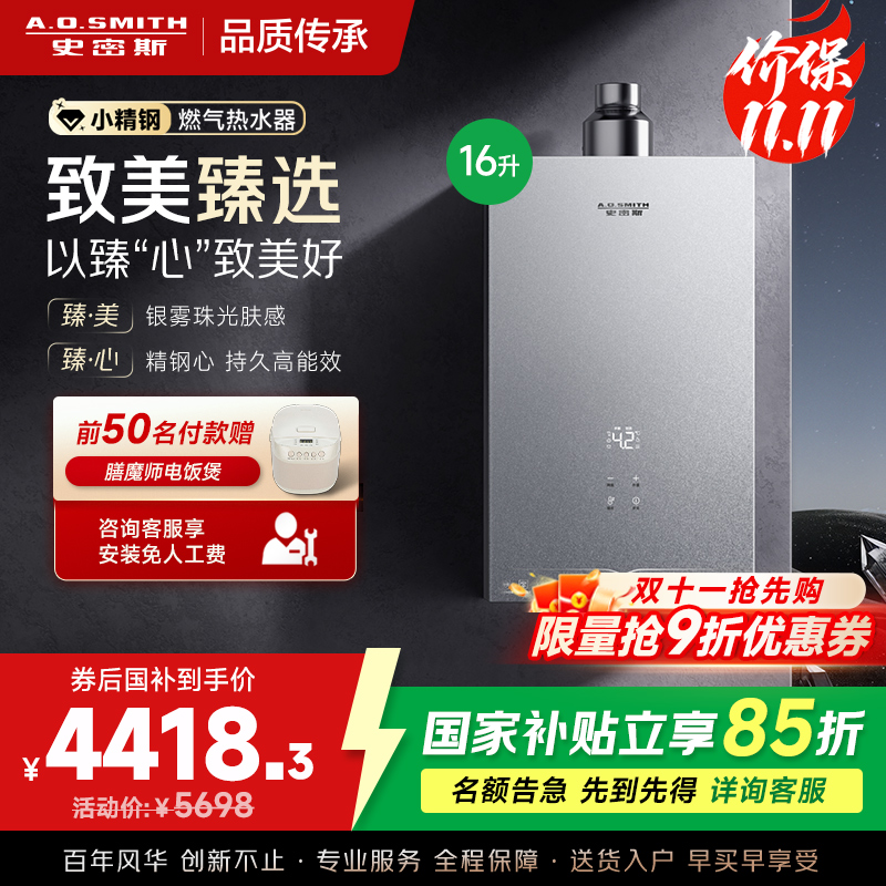 AO史密斯新品小体积16升精钢燃气热水器[小精钢EC5]静音 持久恒温 天然气 JSQ31-EC5