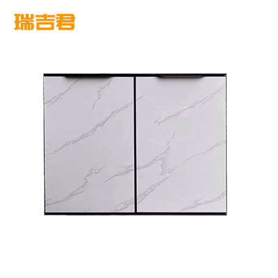 瑞吉君 铝合金柜门 RJHYD012 个