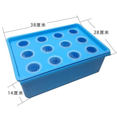 水培蔬菜种植箱家庭阳台无土栽培弹痕设备自动化水耕培育植物塑料花盆蓝色插电增氧款12孔水培箱中等