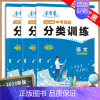 2023版中考真题分类训练 语文+数学+英语[3本套装] 初中通用 [正版]2023版全国各省市中考真题分类训练语文数学