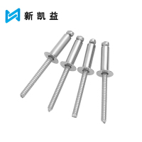 新凯益 不锈钢沉头抽芯铆钉 φ3.2*14 个
