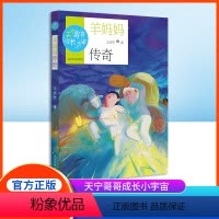羊妈妈传奇 [正版] 天宁哥哥成长小宇宙 羊妈妈传奇fb王天宁著 冰心儿童文学奖获得者 山东大学出版社