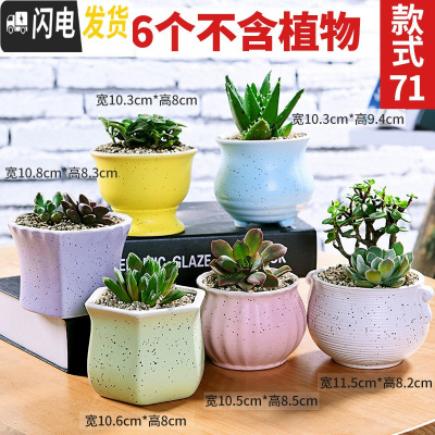 三维工匠多肉花盆陶瓷粗陶透气大口径大号盆栽创意小盆栽 款71套装71(6个) 中小花盆容器