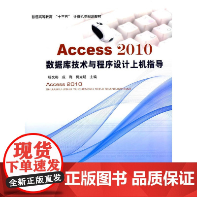 Access2010数据库技术与程序设计上机指导