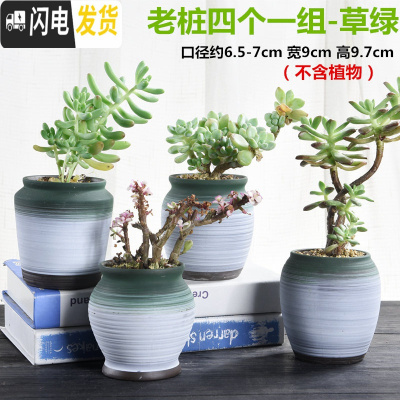 三维工匠老桩多肉花盆创意个性简约陶罐粗陶透气陶瓷小号肉肉花盆 老桩四个一组-草绿 中等花盆容器