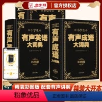 [3本套装]有声成语大词典+英语大词典+大字典 小学通用 [正版]小学生有声成语大词典有声大字典有声英语大词典大开本32