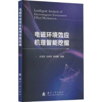 音像电磁环境效应机理智能挖掘汪连栋,王满喜,廷等