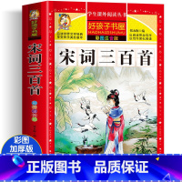 宋词三百首 [正版]四大名着小学生版注音版全套4册 西游记三国演义水浒传红楼梦原着儿童版带拼音青少年版小学生课外阅读书籍