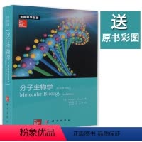 [正版]送原书彩图分子生物学(原书第五版)第5版 生命科学名著Robert F. Weaver著 978703036