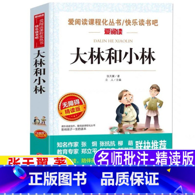 [正版]大林和小林五年级六年级文学类目录张天翼原著小学生三四年级青少年立人编天地出版社彩图美绘名师导读带批注无障碍阅读