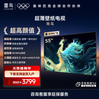 雷鸟 55英寸青鸟壁纸电视 家电国家补贴 无缝贴墙 27.9mm超薄设计 液晶平板电视机55S585C Slim