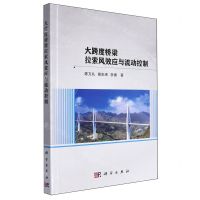[N]大跨度桥梁拉索风效应与流动控制-9787030746979