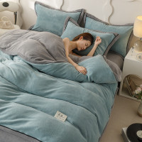 可拆洗被子冬季带被套全套双拼牛奶绒冬被羊羔绒棉被被芯加厚_235