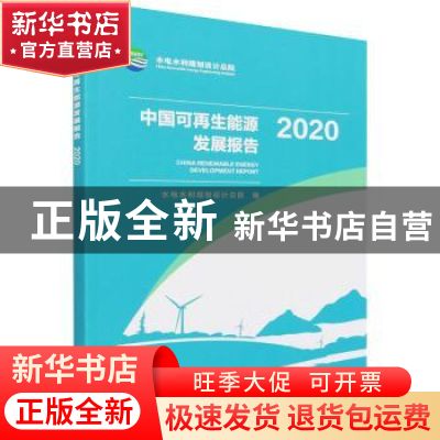 正版 中国可再生能源发展报告(2020) 水电水利规划设计总院 中国