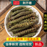 甄选荆芥穗100克新货正品干货荆芥穗另售正品甘草连翘9260