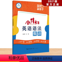 [正版]小学英语培优新帮手小升初英语语法集训六年级升初中小考必考名校真题演练丰富题型专项训练英语辅导语法考点突破练习册