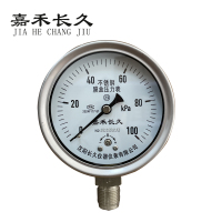 嘉禾长久 不锈钢膜盒压力表 YE100BF 0-100KPa 块
