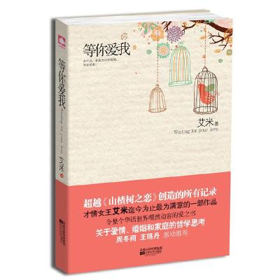 正版新书]等你爱我艾米9787539943152